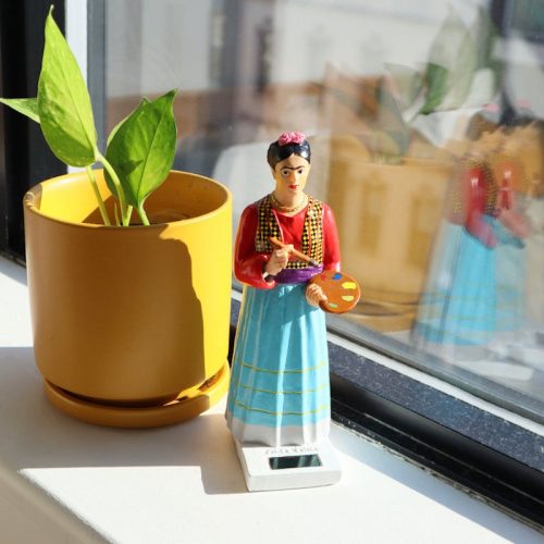 Frida Kahlo Solaire, Kikkerland – Image 2