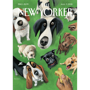 Affiche 30×40 The New Yorker – Ulriksen August 09 2021 – Image Republic