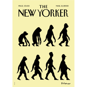 Affiche 30×40 The New Yorker – Falconer Evolution – Image Republic
