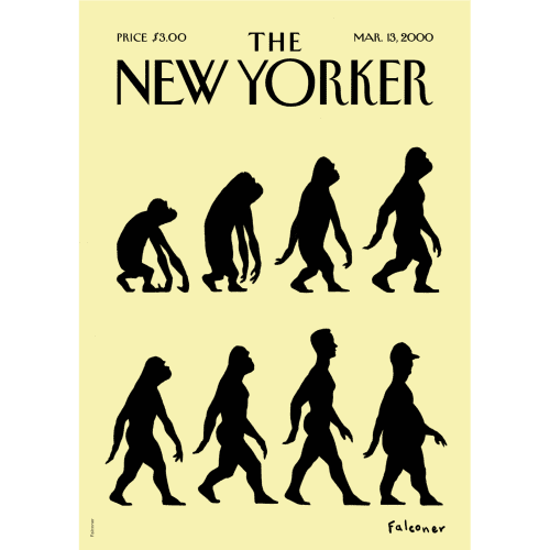 Affiche 30×40 The New Yorker – Falconer Evolution – Image Republic