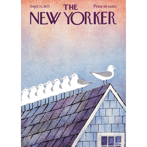 Affiche 30×40 The New Yorker – Martin Gulls A Roof Top – Image Republic